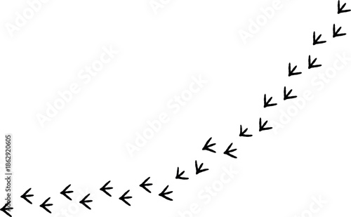 Footpath trail of rooster, hen, bird, rooster footprints track, black track, bird paw print