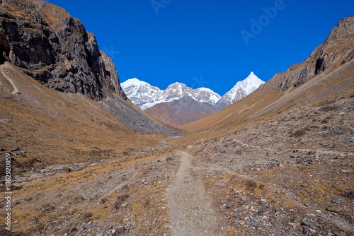 Jichu Drake and Mountain Jomolhari in Bhutan