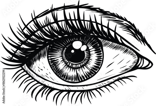 A detailed black and white illustration of a human eye with long