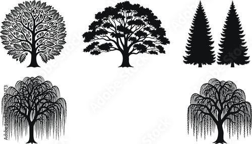 Tree silhouettes, oak, pine, willow, forest icons, botanical shapes, nature graphics, deciduous and conifer trees, black foliage -flat vector illustration