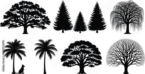 Tree silhouette collection with diverse species, coniferous, palm, willow, leafless, broadleaf, nature elements for design use - flat vector illustrationTree silhouette  - flat vector illustration