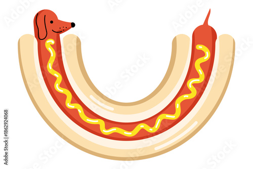 A humorous hot dog inside a sausage. A dachshund dog curved in an arc, with a nose and tail smeared with mustard. Vector illustration.
