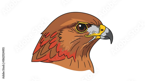 A stylized illustration features a hawk's head. The avian portrait showcases a brown and red feather pattern, a sharp beak, and intense eye