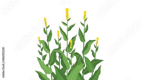 A stylized illustration features green leaves and yellow flowers in a vibrant composition on a pure white background. The plants stand tall