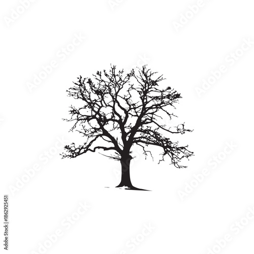 Silhouetted Oak Tree in Winter Landscape, Dramatic Nature Scene for Stock Photography and Design Usage