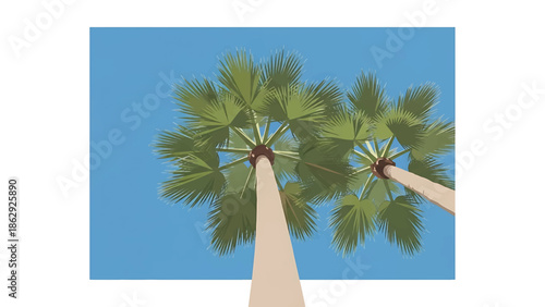 A stylized illustration features two palm trees from a low-angle perspective. The tree trunks ascend toward the top, fronds are spread against a blue sky