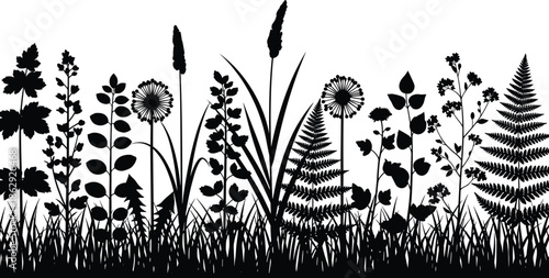 Wild meadow grass and fern silhouette border, dandelion flower field background, nature botanical collection, cad drawing flat vector illustration