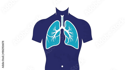 A stylized illustration presents the human torso, showcasing the lungs in teal. The surrounding body is dark blue, with a white backdrop