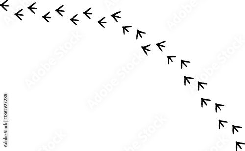 Footpath trail of hen, bird, rooster, rooster footprints track, black track, bird paw print