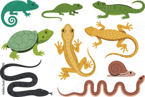 Reptile and mollusk vector illustration set, lizard, snake, turtle, chameleon, snail, educational animal graphic, species diversity, stock artwork
