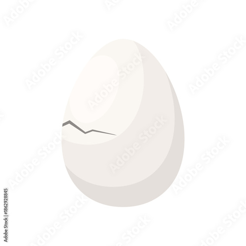 Beginning of crack on fragile shell of chicken white egg vector illustration