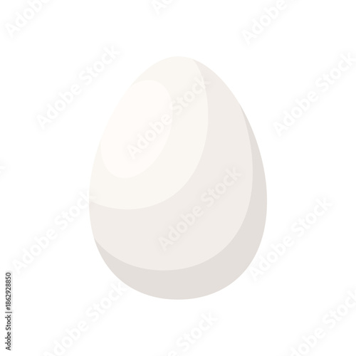 Whole white oval chicken egg, egg from incubator or hen roost vector illustration