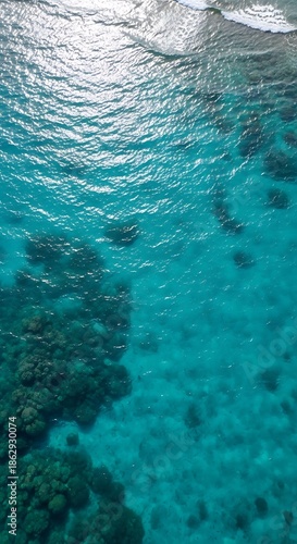 Underwater Coral Reef View with Turquoise Water and Sunlight.