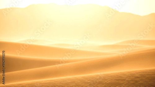 Sand dunes illuminated by a warm sunset in a serene desert landscape viewed from a low angle