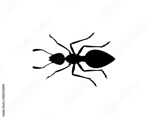 Black Ant Insect Silhouette Illustration on Isolated White Background