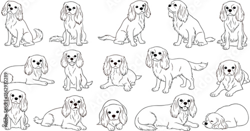 Set of adorable cocker spaniel dog illustrations in various poses