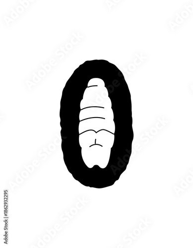Black Chrysalis Silhouette, Insect Pupa Stage in Cocoon on Isolated White Background