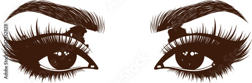 A close up of a womans eyes with long eyelashes and eyebrows