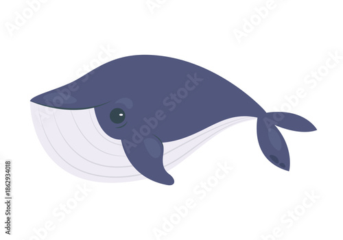 Cute sea whale, funny underwater mammal creature and marine animal vector illustration