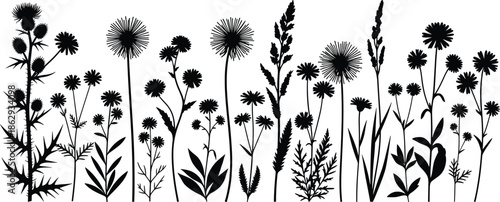 Black silhouette set of wild flowers, meadow grass, thistle, dandelion, chamomile, field herbs, nature border, cad drawing flat vector illustration.