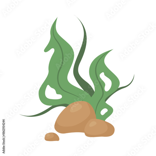 Green algae on underwater rocks, cute tropical undersea seaweed vector illustration