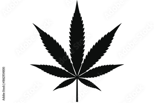 Single cannabis leaf illustration isolated on white background, Vector, illustration