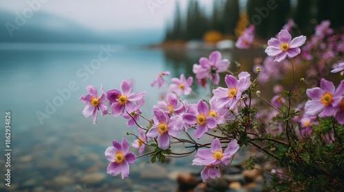 Pink flowers blooming beside a calm lake in daylight