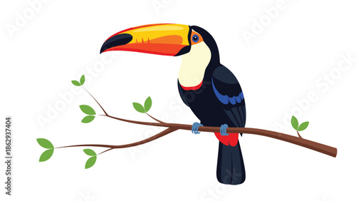 Exquisite toucan bird with a prominent, colorful beak, perched gracefully on a natural tree branch, showcasing vibrant tropical wildlife.