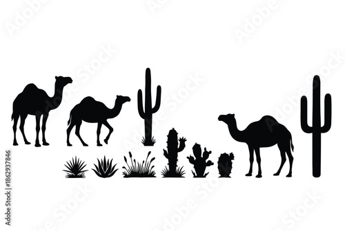 Silhouettes of camels and cacti in desert landscape isolated on white background, Vector, illustration