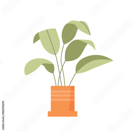 Banana tree leaves in flower pot, tropical exotic foliage for indoor decoration, balcony garden vector illustration