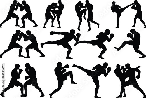 Silhouettes of martial artists in action isolated on white background, Vector, illustration