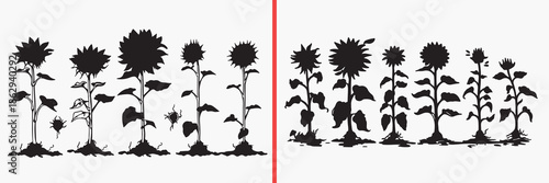 sunflower illustration vector, floral silhouette artwork, garden flower design, nature flower silhouettes, wildflower illustration set, botanical flower vector, plant graphic elements, floral clipart 