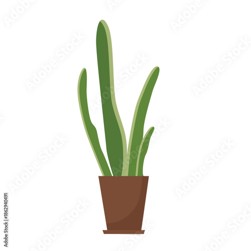 Cactus plant in pot, abstract tropical houseplant with fleshy succulent long leaves for indoor garden vector illustration