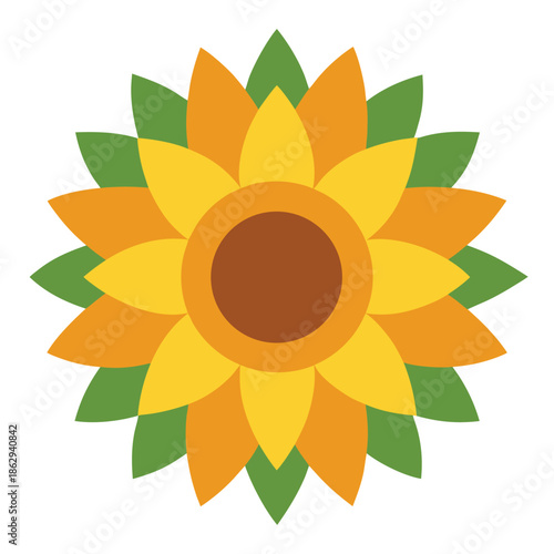 Bright multicolored sunflower with green leaves on white background petals yellow