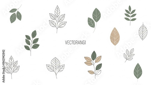 Collection of delicate botanical illustrations featuring various types of leaves and sprigs in a minimalist line art and flat design style on a white background