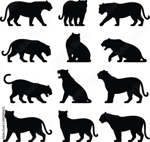Collection of black silhouettes depicting various poses of big cats