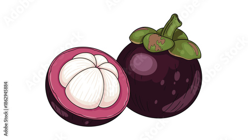 Pair of ripe mangosteen fruits showing one whole fruit with its purple skin and green stem and one halved fruit revealing the segments of white flesh.