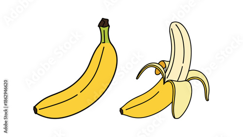 Simple illustration of two yellow bananas featuring one whole fruit and one partially peeled fruit showing the creamy white interior on a white backdrop.
