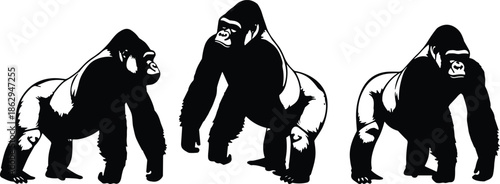 Gorilla, silhouette, black, white, walking, standing, muscular, strong, chest, posture, animal, wild, primate, jungle, nature, power, pose, direction, stylized, illustration - flavector