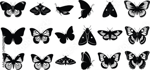 butterfly moth silhouette insect wings nature illustration collection set