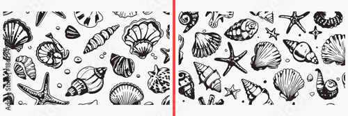 sea shell illustration vector, marine shell drawing set, beach shell doodle art, 