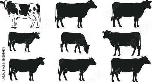 cow cattle dairy livestock farming agriculture bovine farm silhouette animal rural pasture herd milk
