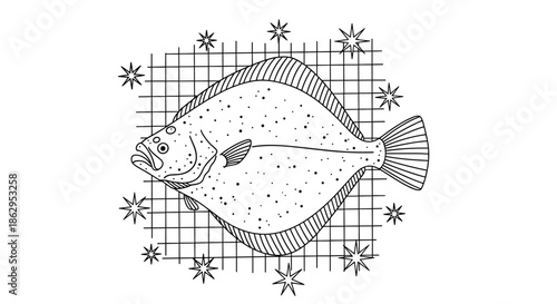 Detailed line art illustration of a flatfish placed over a grid background with decorative stars in a nautical theme.