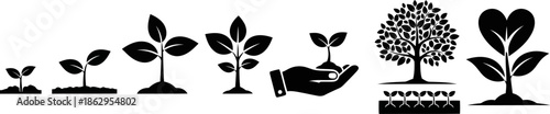 Black Silhouette Vector Icons Plant Growth Stages and Nature Development Set.eps