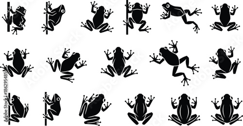 frog amphibian silhouette animal wildlife nature jumping crawling black collection illustration vector