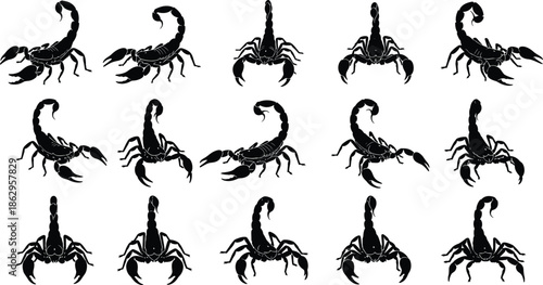 scorpion arachnid insect animal wildlife danger poison sting silhouette vector icon