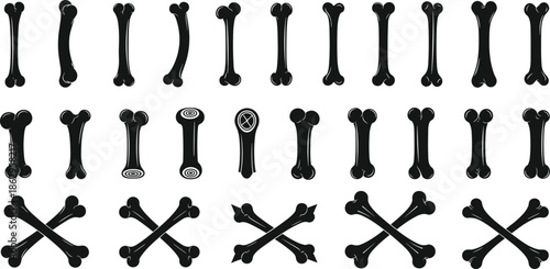 bone skeleton anatomy medical dog pet chew xray biology symbol icon vector silhouette