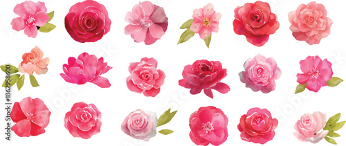 watercolor rose flower set