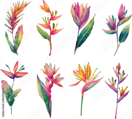 vector set of colorful flowers