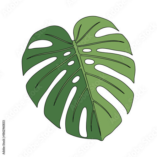 A single, stylized green monstera leaf on a white background, with a dark outline